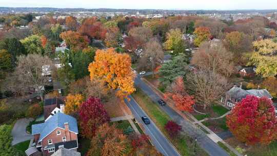 秋天秋天树叶中的高档社区。美国城镇和历史悠久的家园。