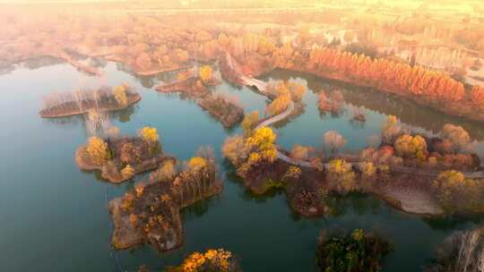 西安浐灞湿地公园秋景