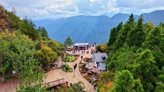 三峡红叶