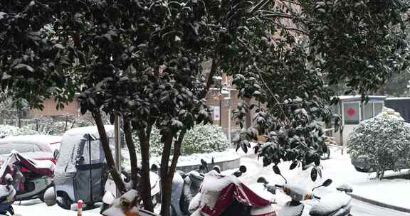 小区下大雪的风景