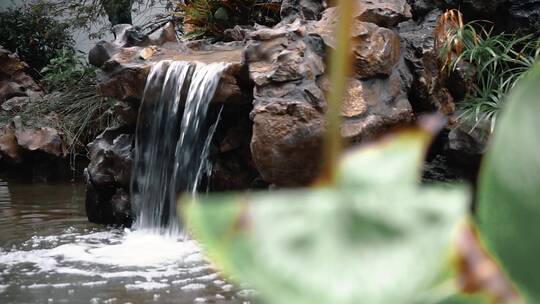 江南烟雨园艺中国海棠树花锦鲤景观设计花坛