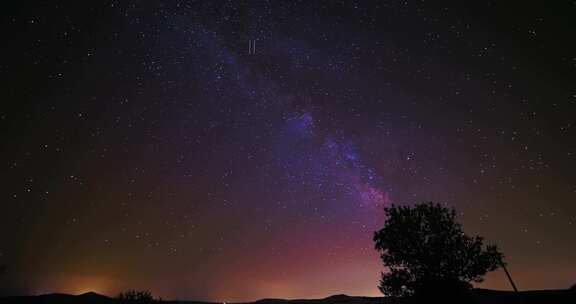 4K星空银河树木夜空天空延时