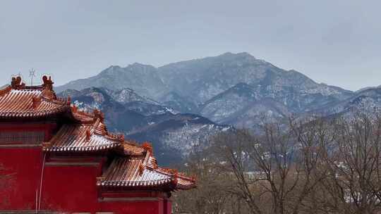 航拍岱庙雪景