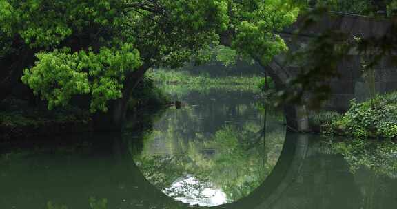 春天杭州西湖园林桥洞雨景