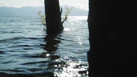 大理洱海湖岸风景