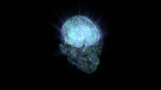 人体大脑三维动画展示（透明通道）