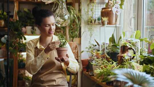 女人，花店，植物园，植物