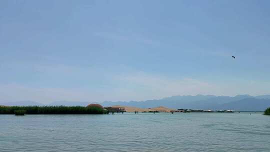 宁夏石嘴山沙湖旅游景区湿地游船观鸟