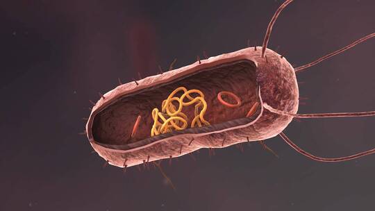 医学病原体病毒病原体病菌细菌医学三维动画
