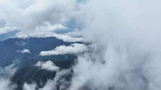 海南乐东县尖峰岭国家森林公园热带雨林