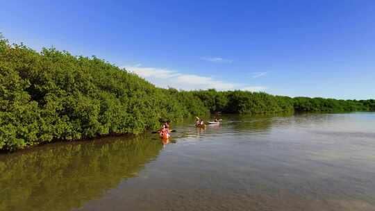 皮划艇，Tavernier Key，红树