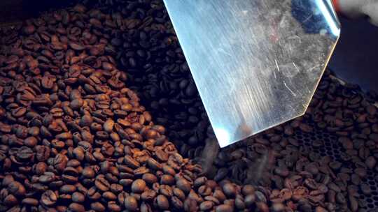 咖啡豆采摘咖啡制作咖啡烘焙咖啡视频素材模板下载