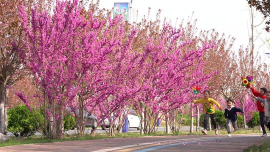 小孩在自然美丽的道路上奔跑