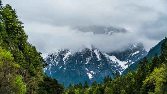 中国西藏雪山树林云层自然风景延时摄影