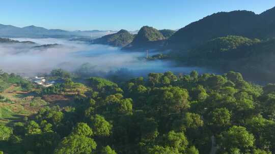 航拍云雾缭绕的茶山