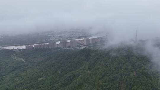 雨雾中的山林