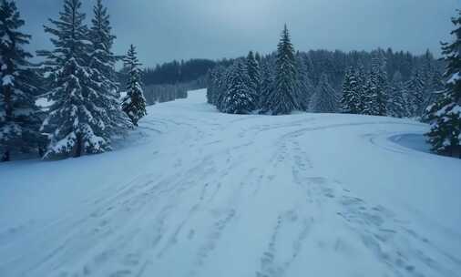 雪地里的老虎脚印 (4)