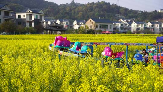 油菜花 春游踏青 游玩公园