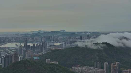 南山前海宝安高空大景航拍视频素材模板下载