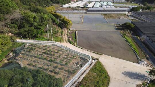 大气 航拍 福建 泉州 城市 闽南 建筑 风光