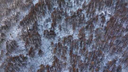 航拍东北下暴雪林海雪原威虎山