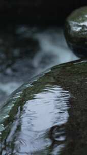 意境森系自然——溪水7视频素材模板下载