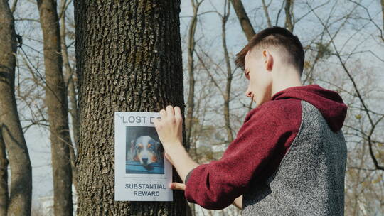 男孩为失踪的狗张贴广告视频素材模板下载