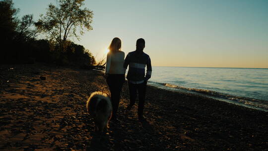 日落时在海边遛狗的夫妇