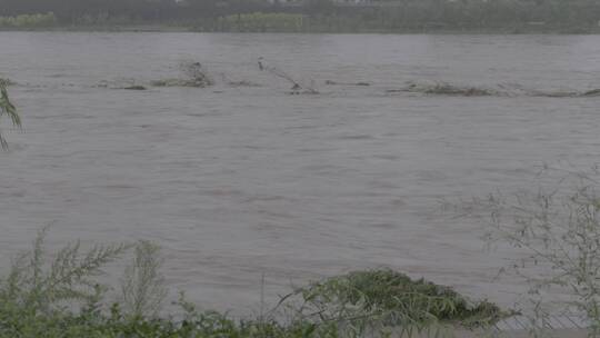 暴雨洪水LOG视频素材