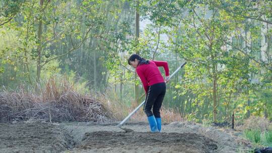 4k乡村妇女田园菜地种植锄地