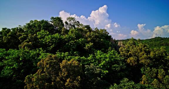 深圳市龙岗区城市风光