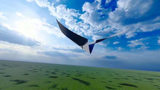纸飞机飞过草地和蓝天