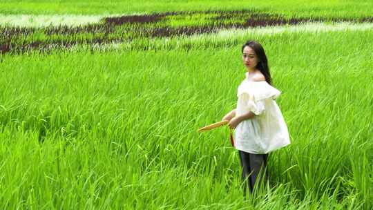 美丽乡村振兴稻田画字风吹麦浪白裙子美少女