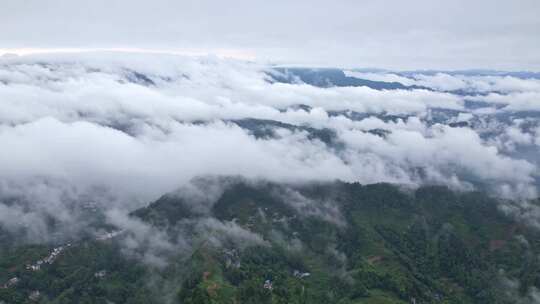 大雾清晨云雾大山云海森林自然云山脉山区