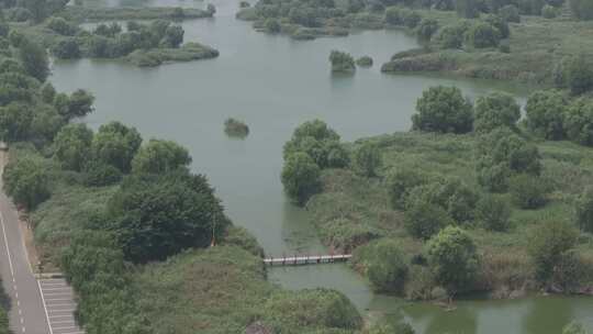 湿地河湖生态宣传片风景湿地美景公园