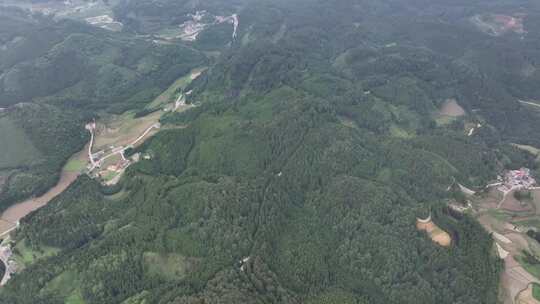 平坝区国营大坡林场航拍