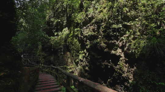 青城山古道 栈道