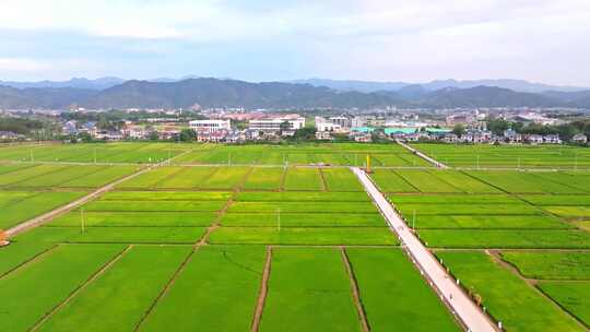 怀化安江高标准农田示范基地航拍