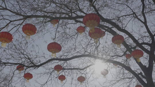 北京胡同过年街景气氛 春节街景氛围