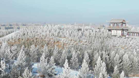 雪后树林与中式楼阁景观