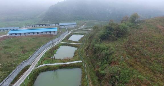 4k航拍山区阴天雾气下肉牛奶牛养殖场