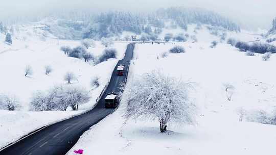 重庆武隆仙女山雪景