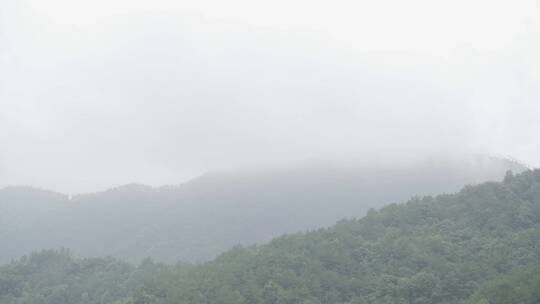 乡村世外桃源小溪溪流自然生态溪边河流