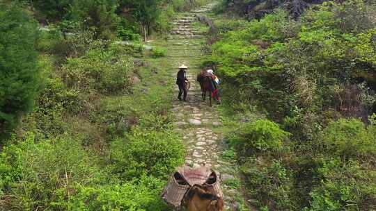 历史茶马古道繁荣古代经济古道山路商队