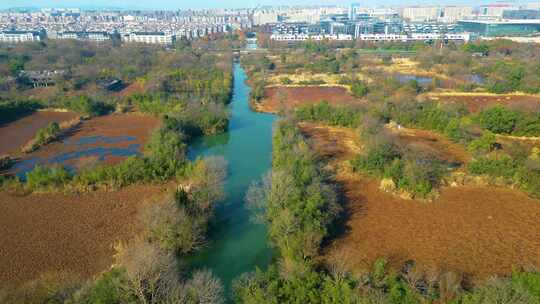 杭州西湖区西溪湿地自然风景视频素材