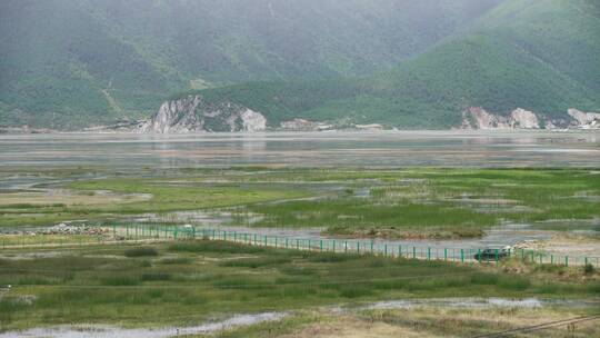 牧场农场云南香格里拉草地草原延时摄影