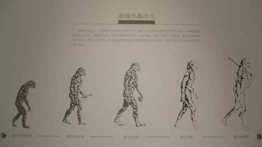 博物馆里的古人类展示LOG