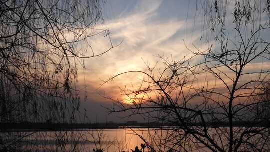 夕阳 晚霞 落日 树影 云彩 云朵