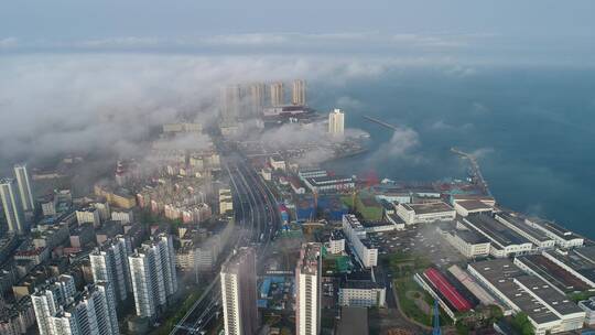 航拍青岛城市平流雾