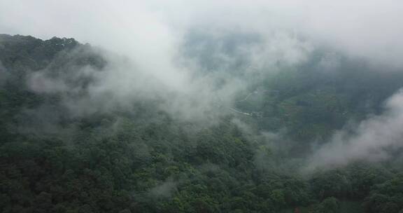 云气山林、烟雾缭绕、苍翠氤氲天台山 (3)